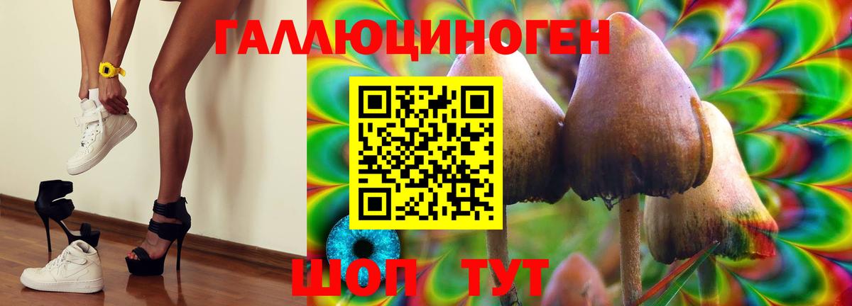Галлюциногенные грибы Magic Shrooms  Вход с VPN  купить наркотики сайты  Изобильный 